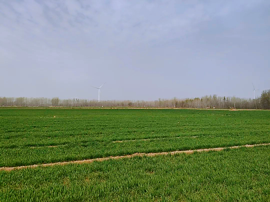 4b91323a78d09d0bcac375091e36fba4.png 图片1.png